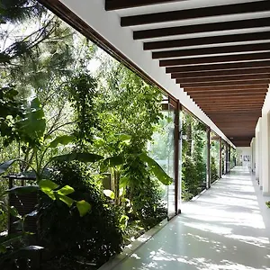 The Lifeco Bodrum Well-being Detox Center And Vegan (adults Only) Türkbükü
